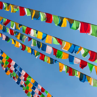 Windhorse Tibetan Prayer Flag freeshipping - Himalayan Bazaar